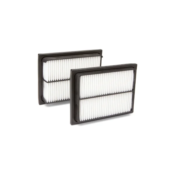 AF25573 AIR FILTER